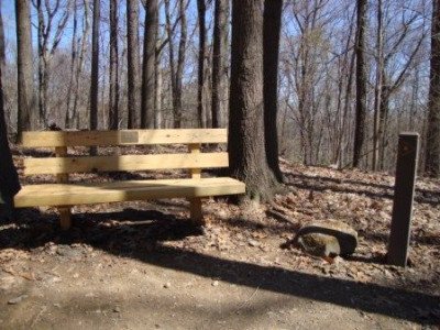 Park Bench